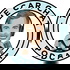 Car Chat
