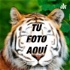 Fotomontaje De Un Tigre Para Subir Tu Foto En Su Cara