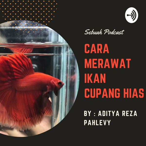 Artwork for Cara Merawat Ikan Cupang Hias by Adit