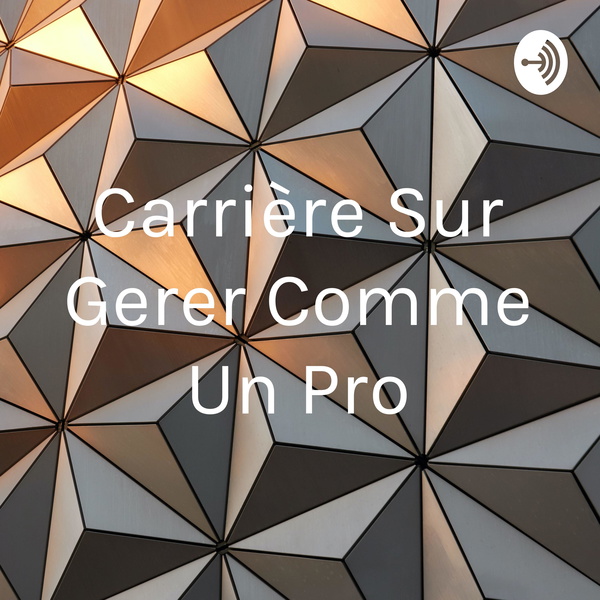 Artwork for Carrière Sur Gerer Comme Un Pro