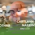 Cartlann Bhóthar na Léinsí