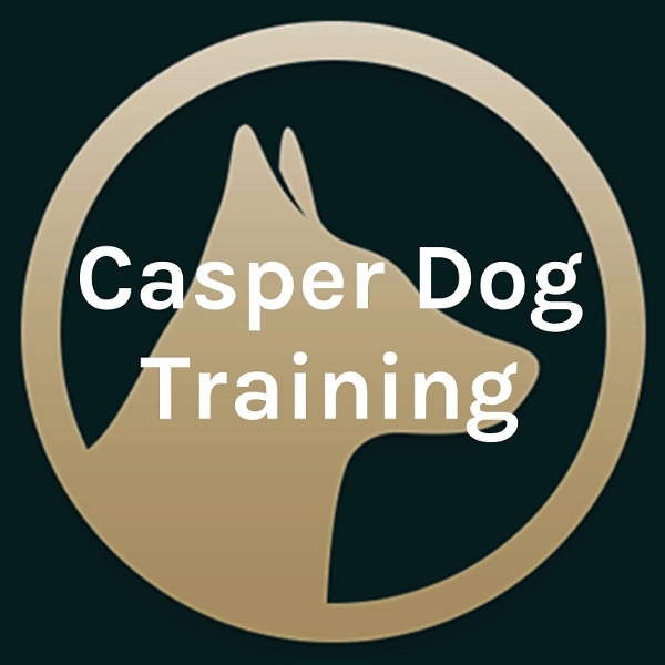 Artwork for Casper Dog Training