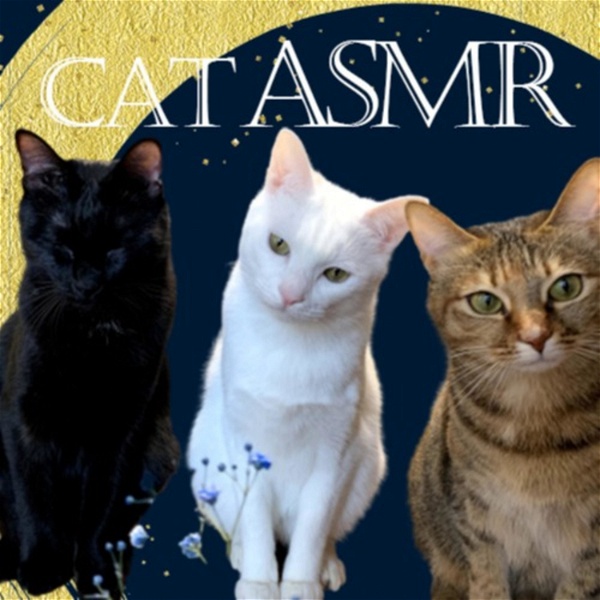 Artwork for Cat ASMR【eating,purring,grooming】