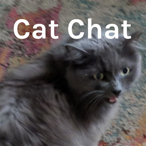 Artwork for Cat Chat