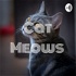 Cat Meows 😺