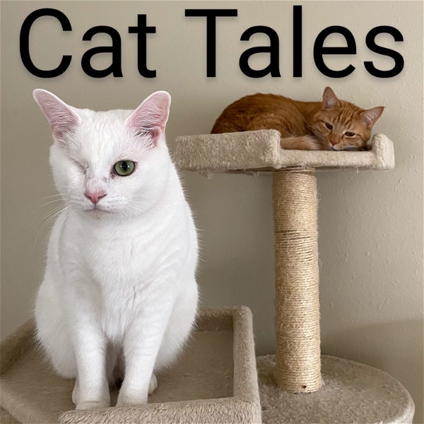 Artwork for Cat Tales