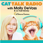 Artwork for Cat Talk Radio