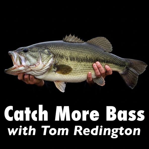 Artwork for Catch More Bass