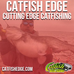 Artwork for CATFISH EDGE Podcast