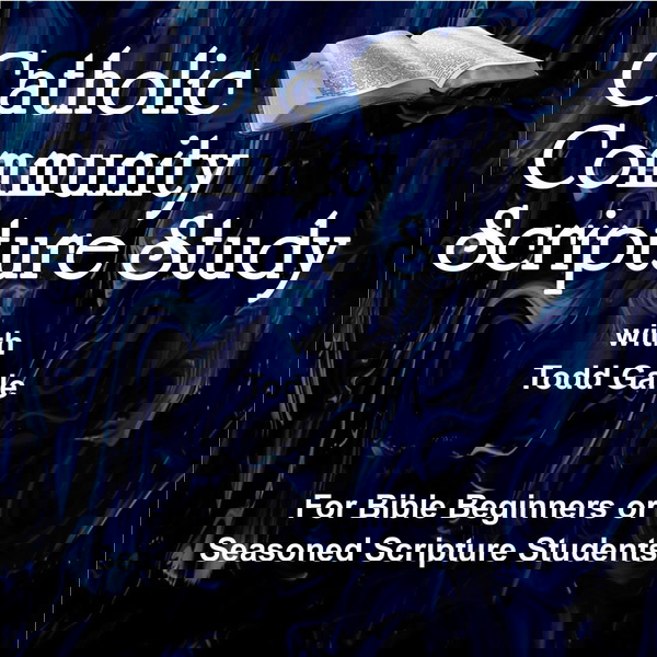 Artwork for Catholic Community Bible Study