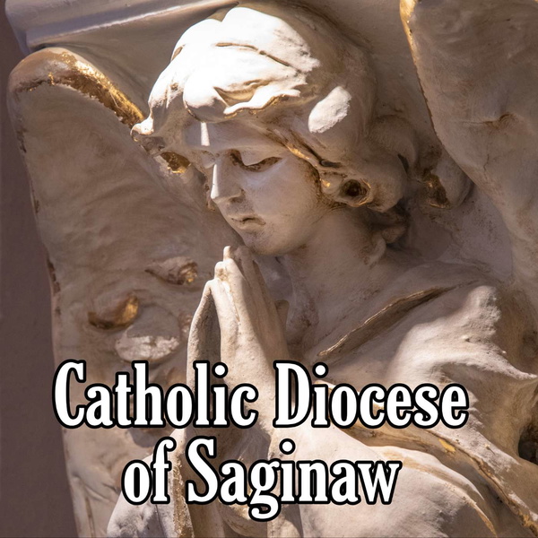 Artwork for Catholic Diocese of Saginaw Podcast