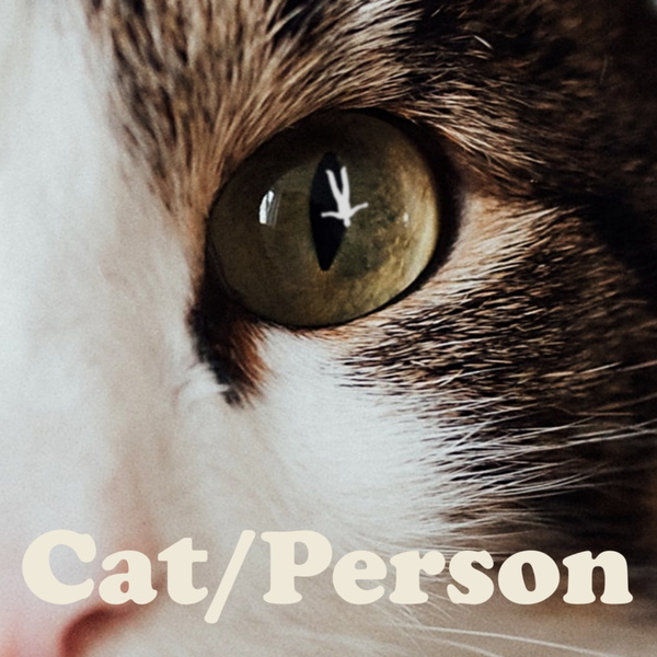 Artwork for Cat/Person