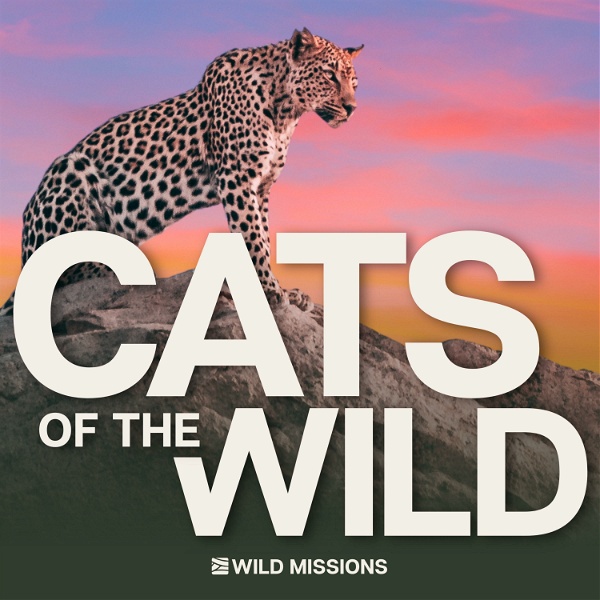 Artwork for Cats of the Wild
