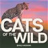 Cats of the Wild