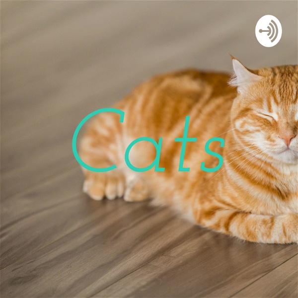 Artwork for Cats