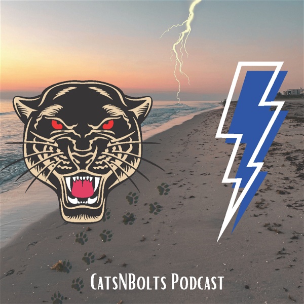Artwork for CatsNBolts Podcast