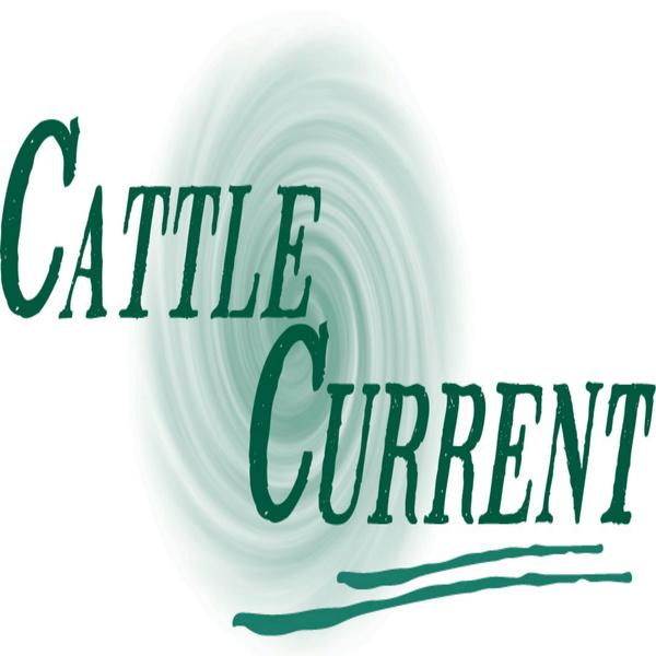 Artwork for Cattle Current Market Update