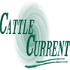 Cattle Current Market Update with Wes Ishmael