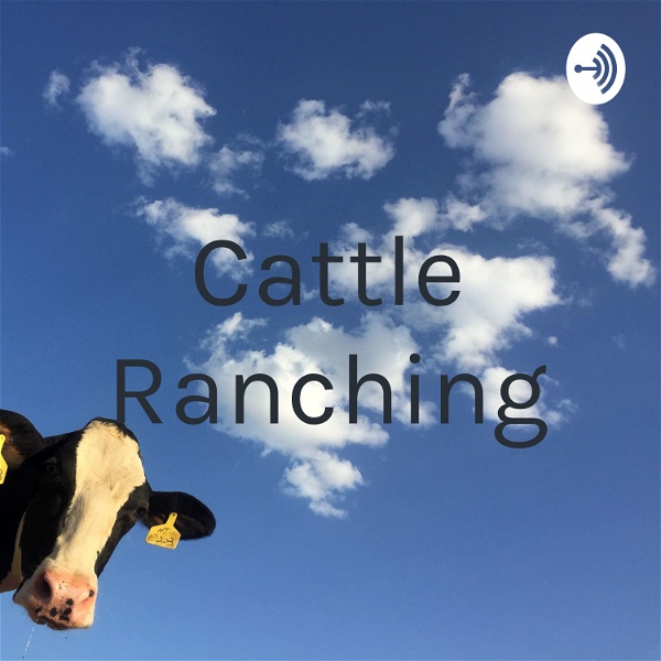 Artwork for Cattle Ranching