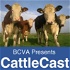 CattleCast