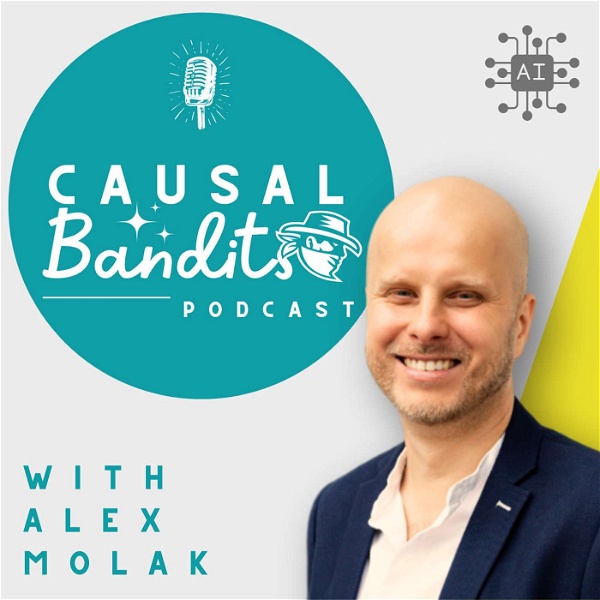 Artwork for Causal Bandits Podcast