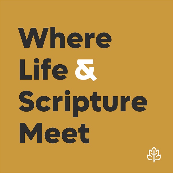 Artwork for CCEF Podcast: Where Life & Scripture Meet