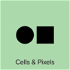 Cells and Pixels