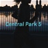 Central Park 5 : Tv Show VS Reality
