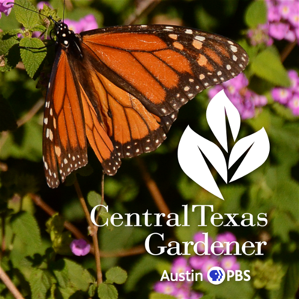 Artwork for Central Texas Gardener