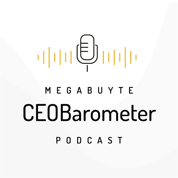 Artwork for Megabuyte CEOBarometer podcast