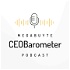Megabuyte CEOBarometer podcast with Ian Spence