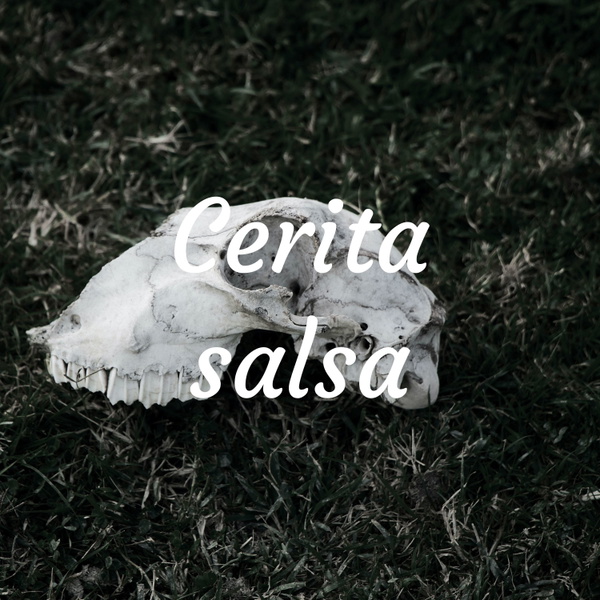 Artwork for Cerita salsa