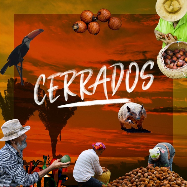 Artwork for Cerrados