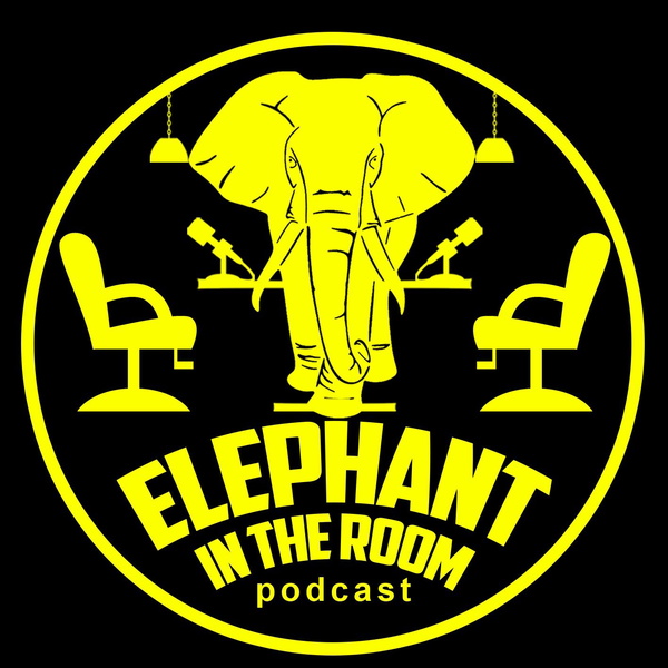 Artwork for Elephant in the room pod