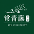 常青藤投资