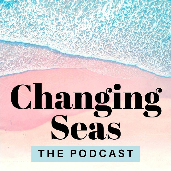 Artwork for Changing Seas