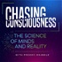 Chasing Consciousness
