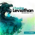 Chasing Leviathan