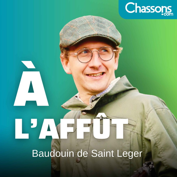 Artwork for À l'Affût