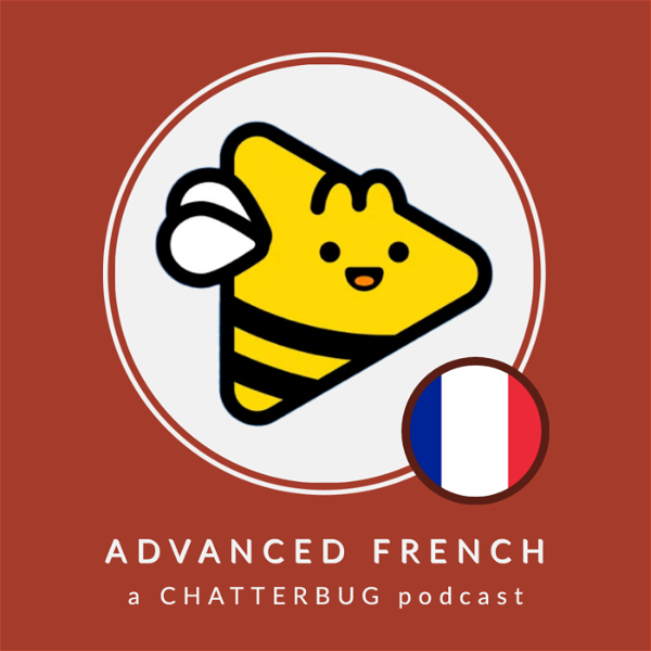 Artwork for Chatterbug Advanced French
