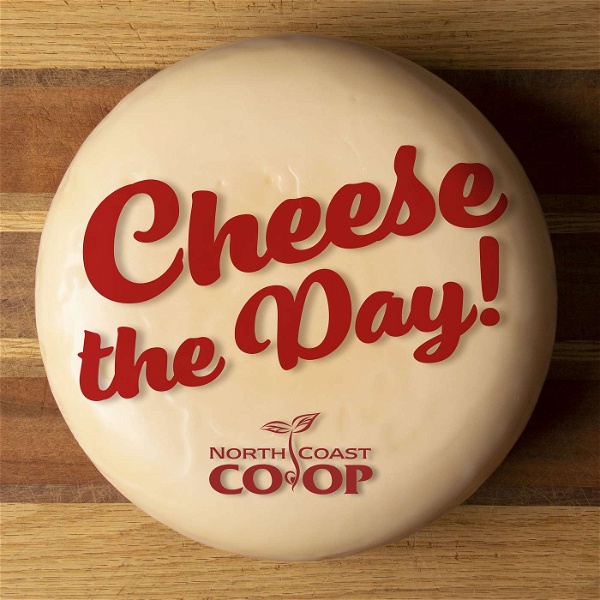 Artwork for Cheese the Day!