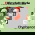 WirtschaftsWoche Chefgespräch
