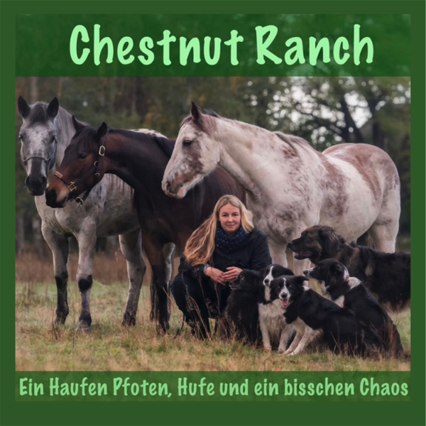 Artwork for Chestnut Ranch