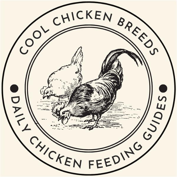 Artwork for Chicken Breeds Types Guides