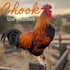 Chook. The Podcast