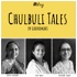 Chulbuli Tales Podcast