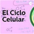 Ciclo Celular Y Reproducción Celular.