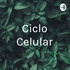 Ciclo Celular