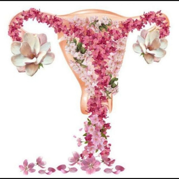 Artwork for Ciclo Menstrual