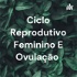 Ciclo Reprodutivo Feminino E Ovulação